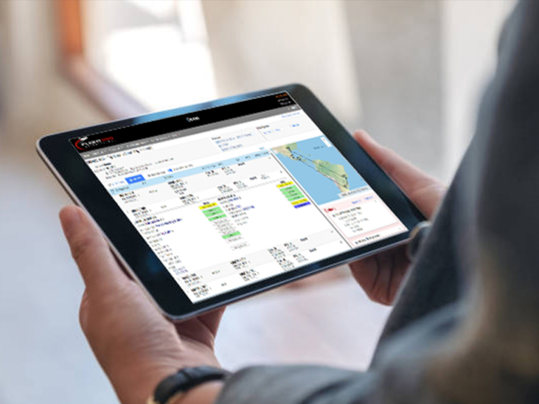 Flight Pro - For Your Premier Global Trip Support Needs